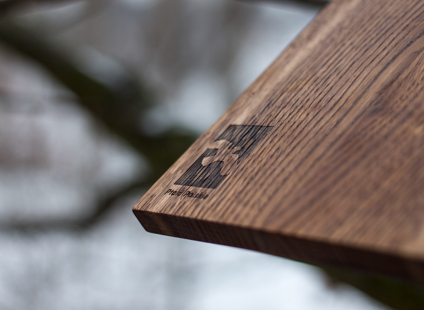 Bird feeder，food，wooden ，house，