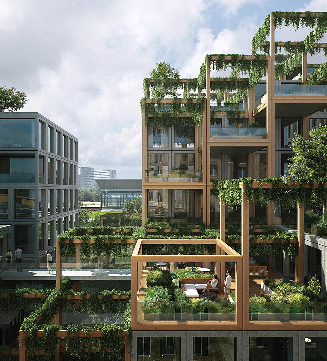 environment protection，Botany，natural，