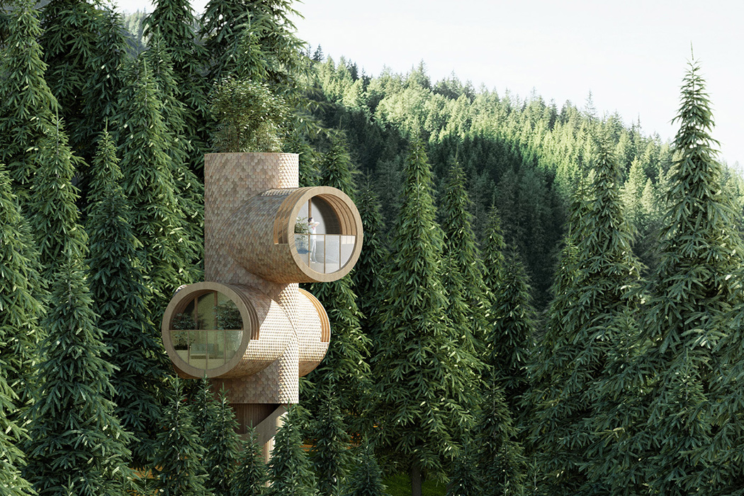 environment protection，Botany，natural，