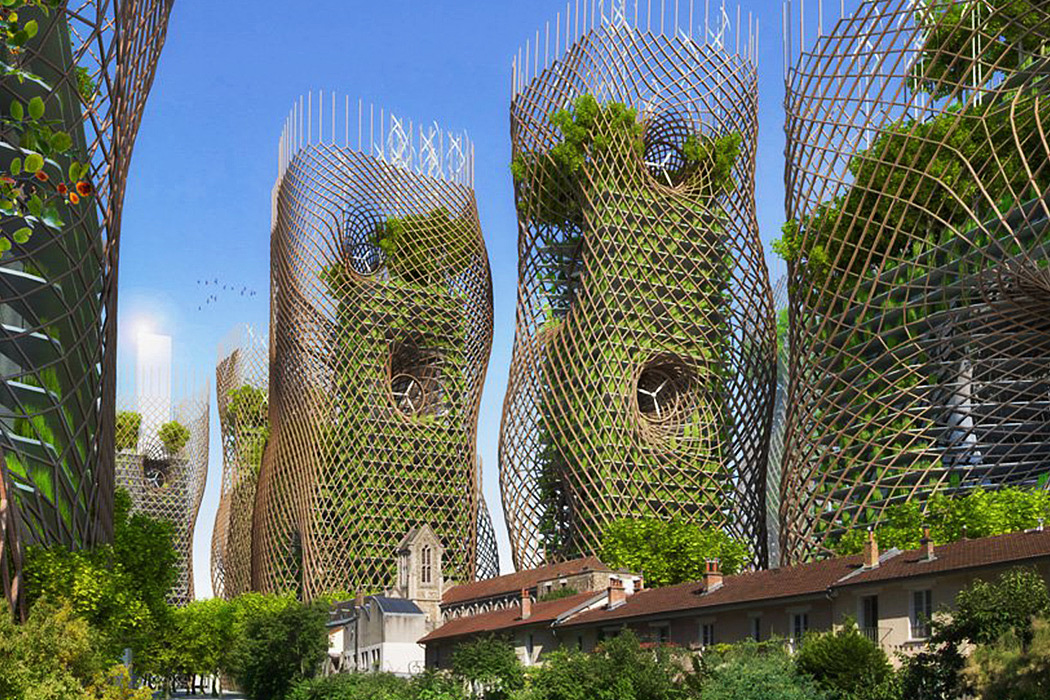 environment protection，Botany，natural，