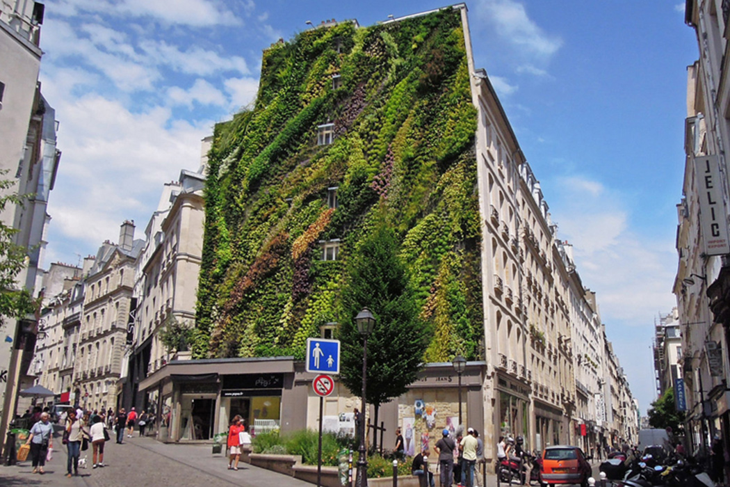 environment protection，Botany，natural，