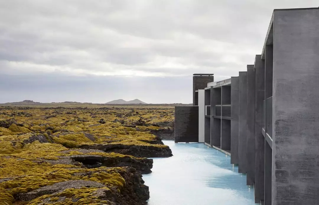 Germany，2019，Red dot award，robot，