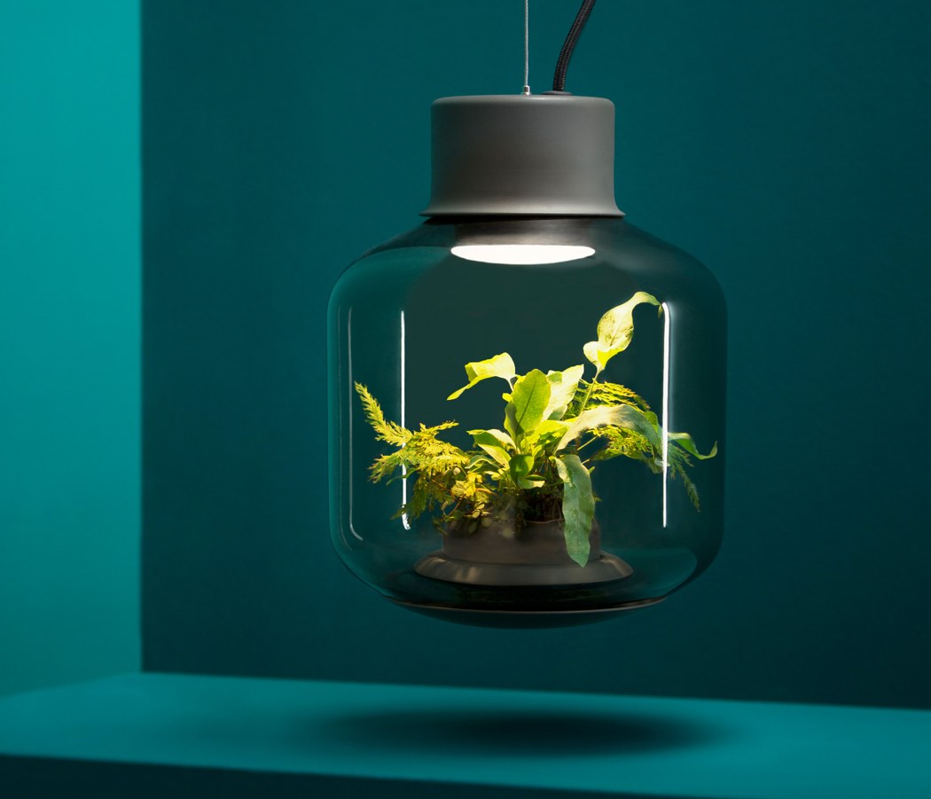 mosquito count，Plant lampshade，Glass，