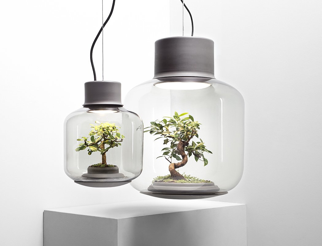 mosquito count，Plant lampshade，Glass，
