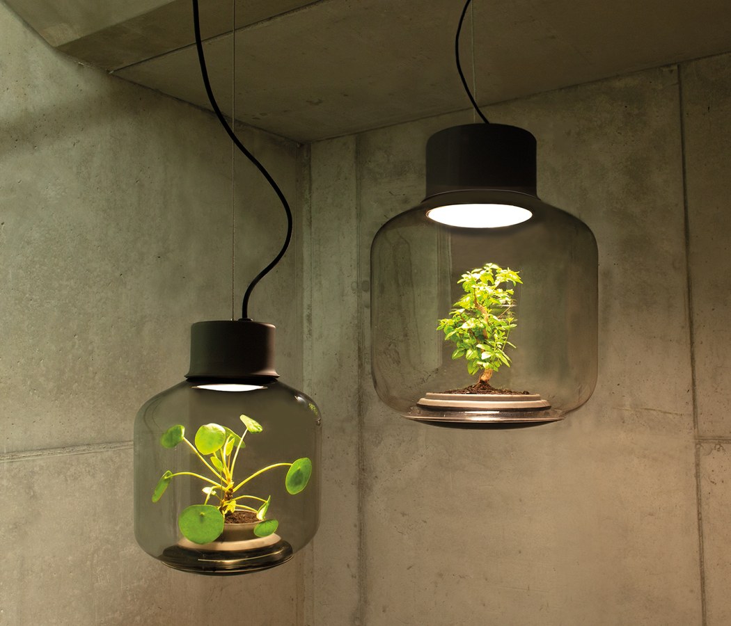 mosquito count，Plant lampshade，Glass，
