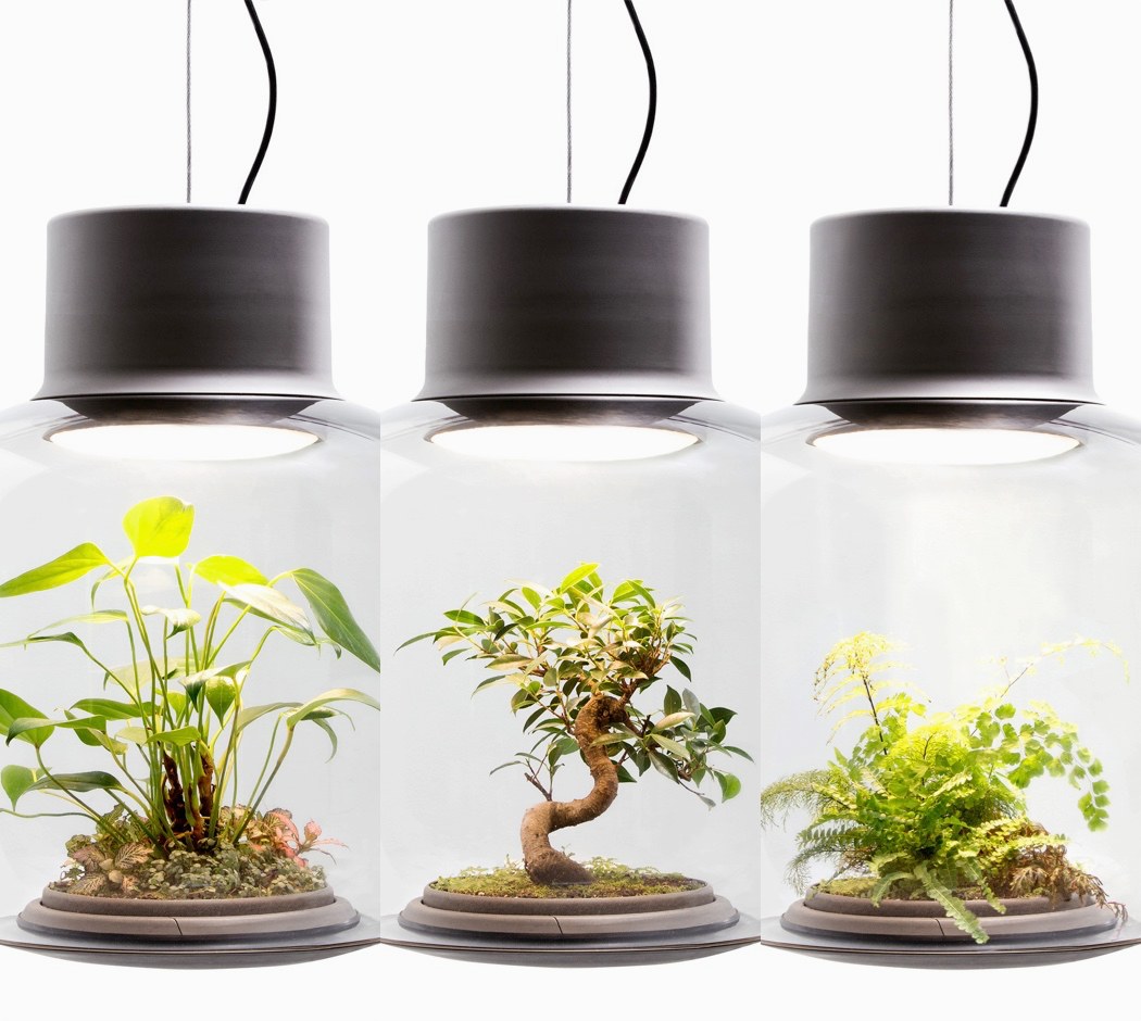 mosquito count，Plant lampshade，Glass，