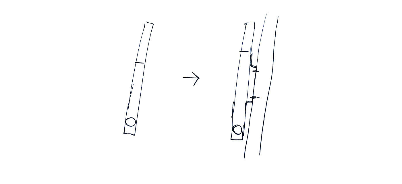Bicycle，magnet，branch，Bicycle pump，