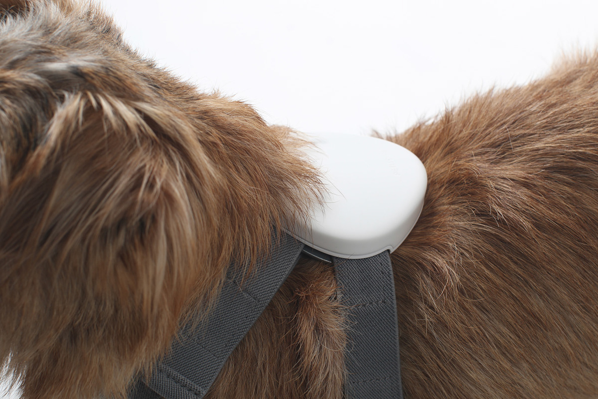 healthy，emotion，ECG signal，Pets，