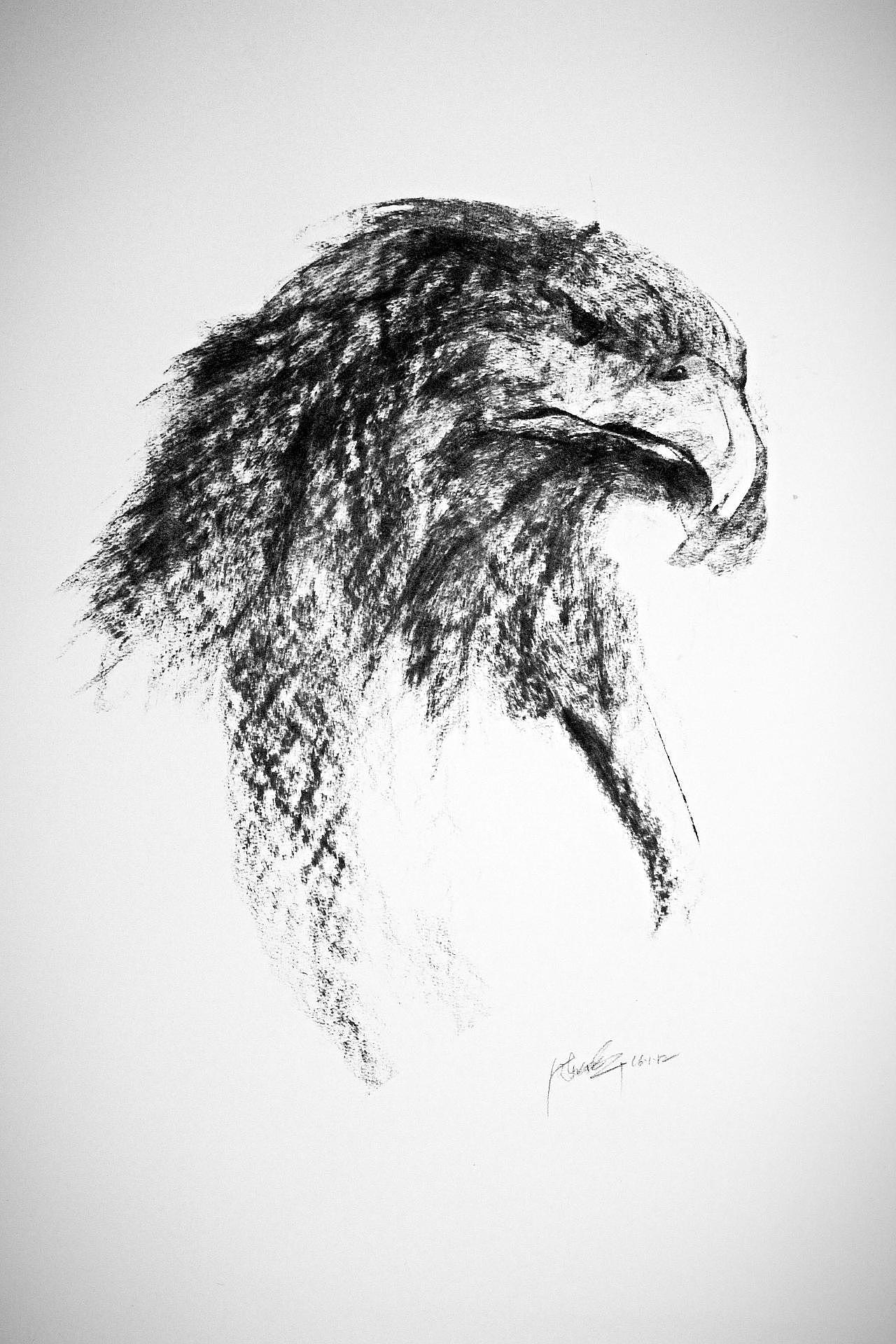 Sketch，Hand drawn，Willow carbon，