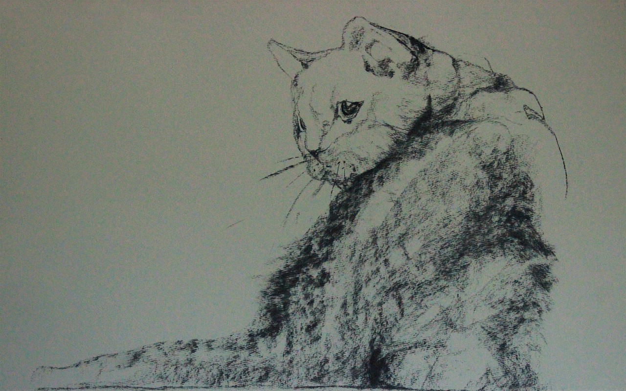 Willow carbon strip，Brief description，Freehand drawing，SpeedPainting ，Hand drawn，Sketch，