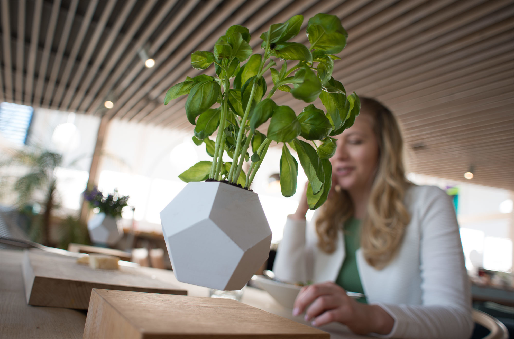 magnetic suspension，Flowerpot，Home Furnishing，decorate，ceramics，originality，