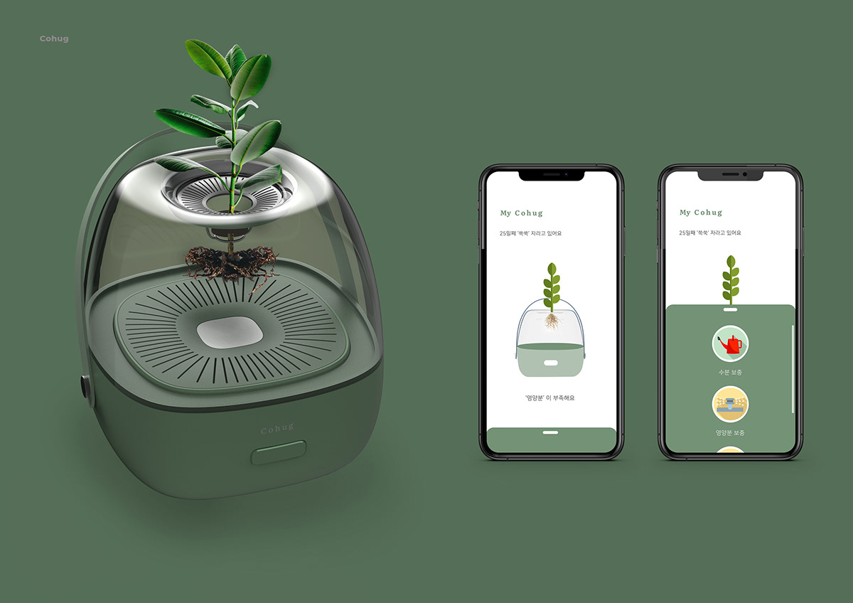 Cohug，Plant utensils，intelligence，