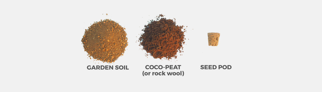 Autumn station，Family Farm，small-scale，agriculture products，