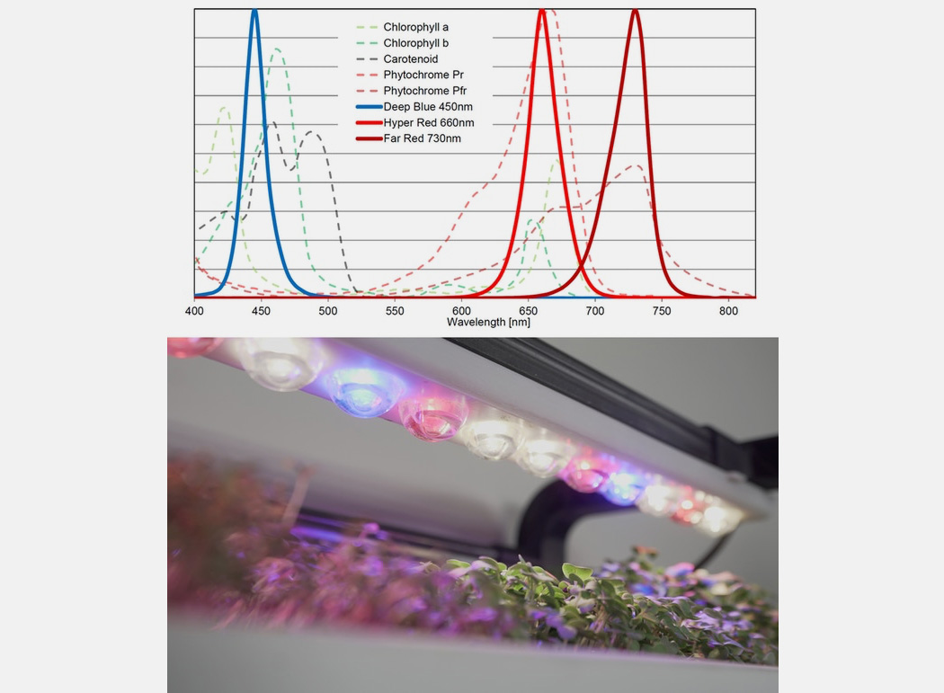 Autumn station，Family Farm，small-scale，agriculture products，