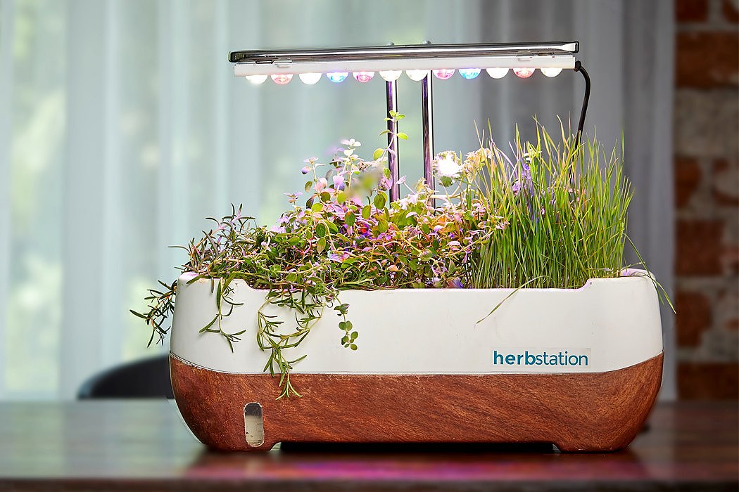 Herbstation，家庭农场，小型，农产品，