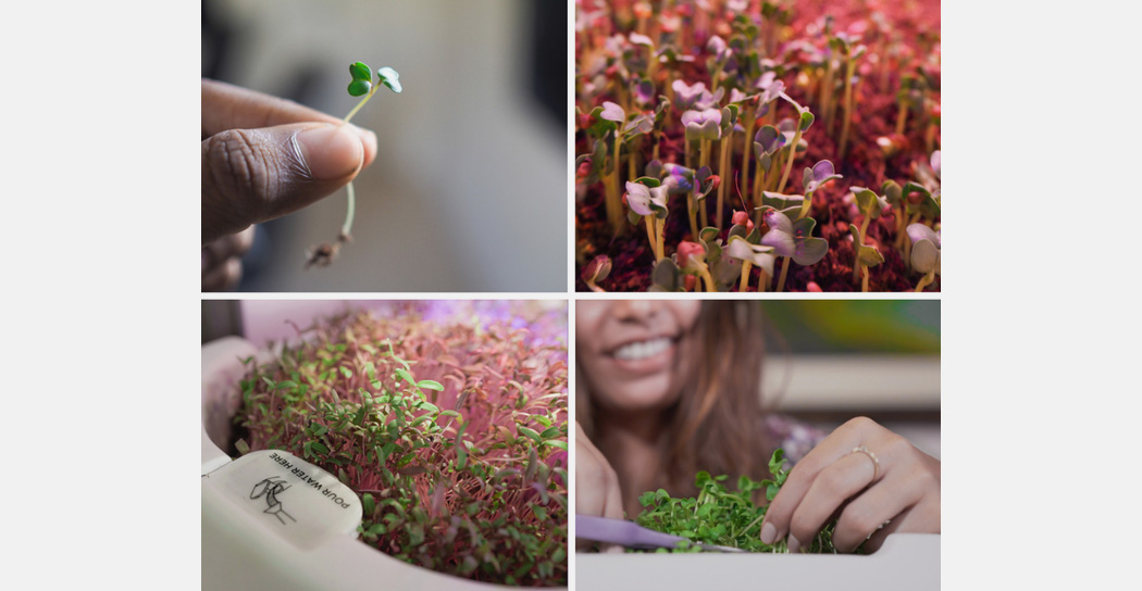 Autumn station，Family Farm，small-scale，agriculture products，