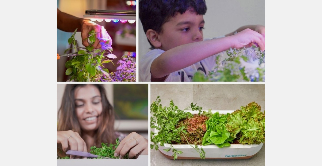 Autumn station，Family Farm，small-scale，agriculture products，