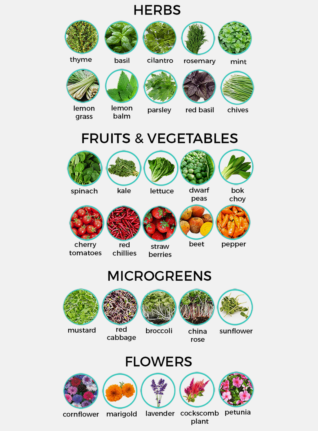 Autumn station，Family Farm，small-scale，agriculture products，