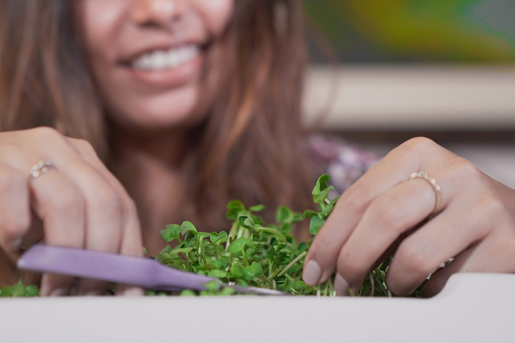 Autumn station，Family Farm，small-scale，agriculture products，