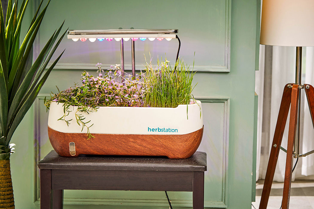 Autumn station，Family Farm，small-scale，agriculture products，