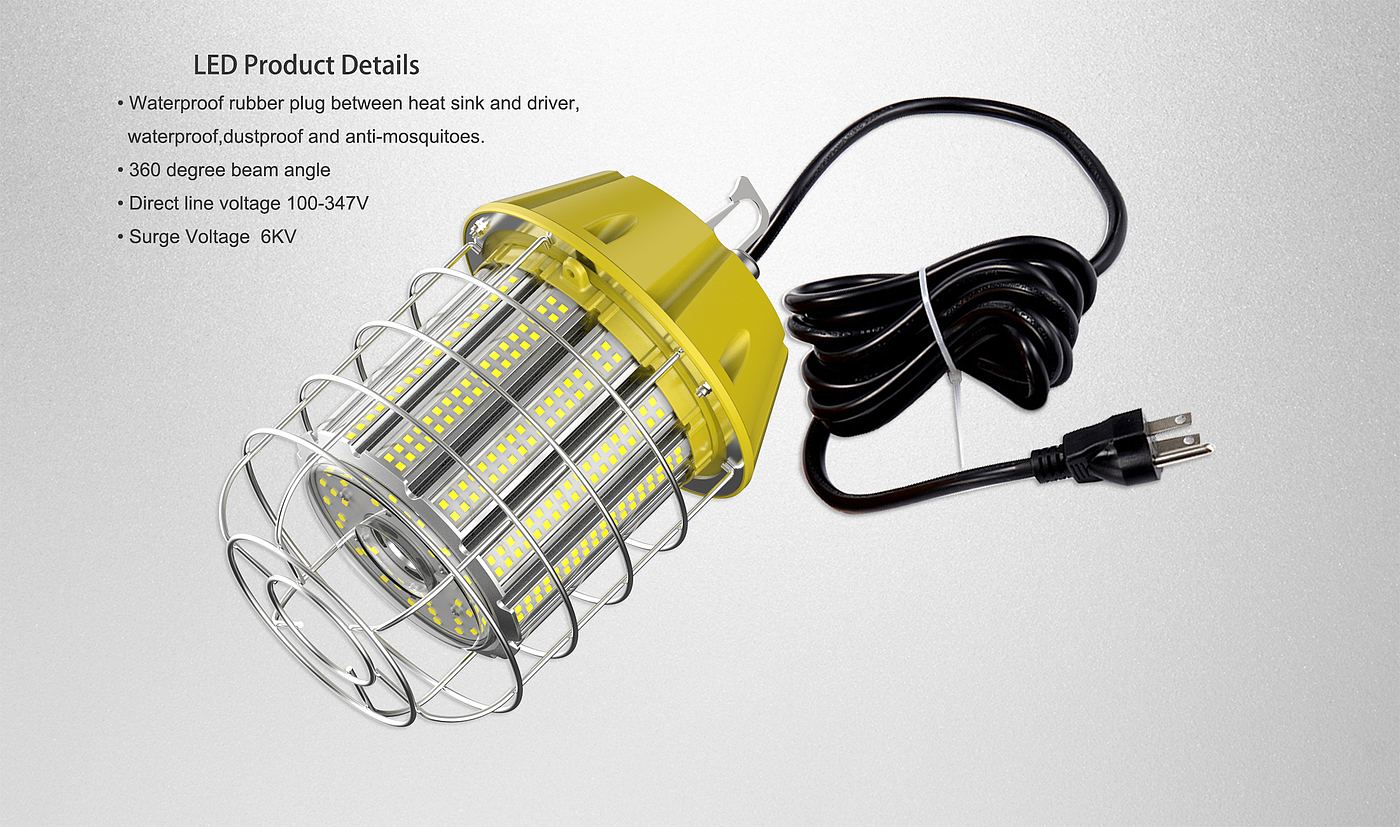 PORTABLE LED LI，