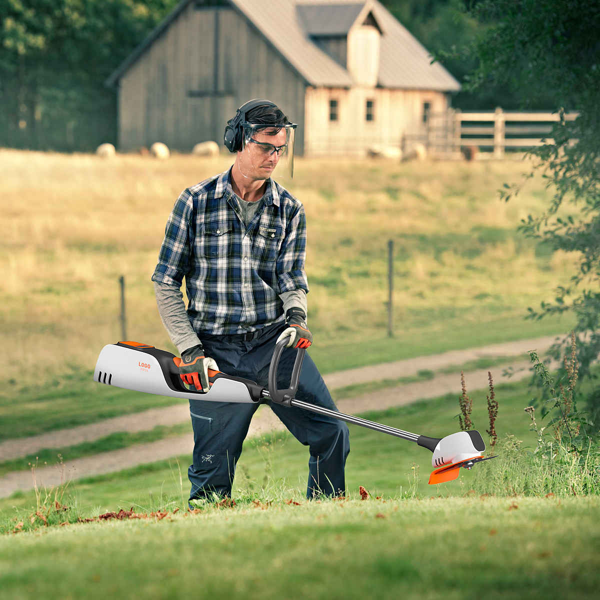 shell，Davide Anzalone，lawn，Battery，