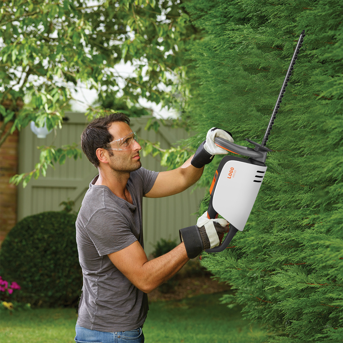 shell，Davide Anzalone，lawn，Battery，