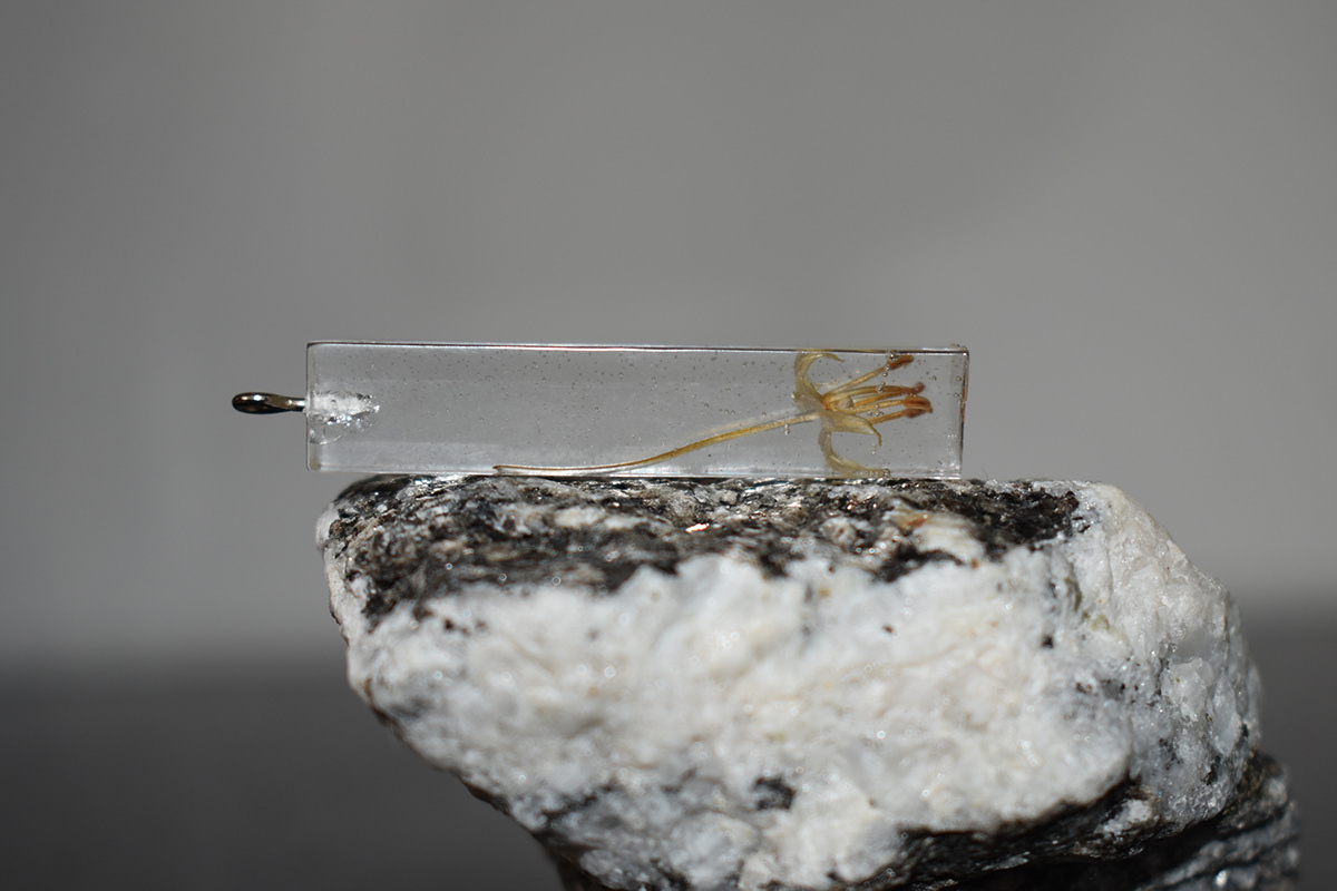 resin，Jewellery，Resin jewelry，