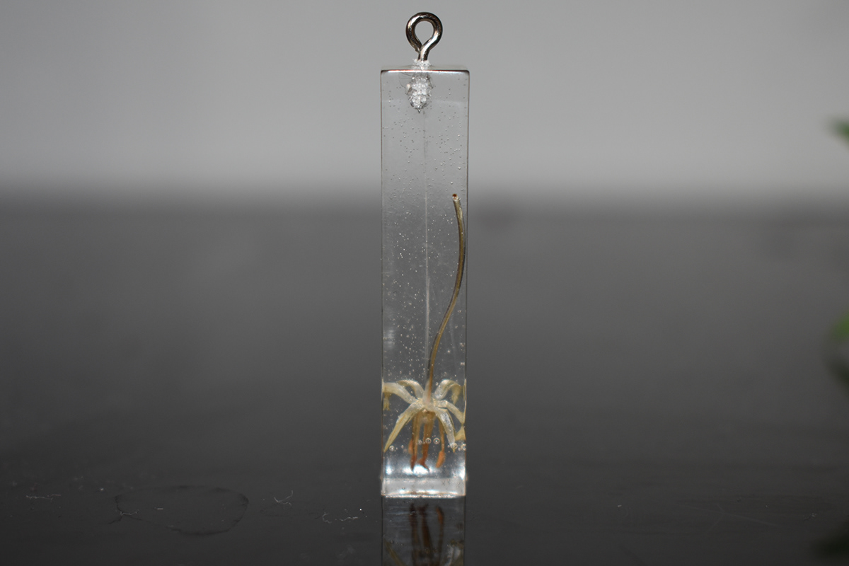 resin，Jewellery，Resin jewelry，