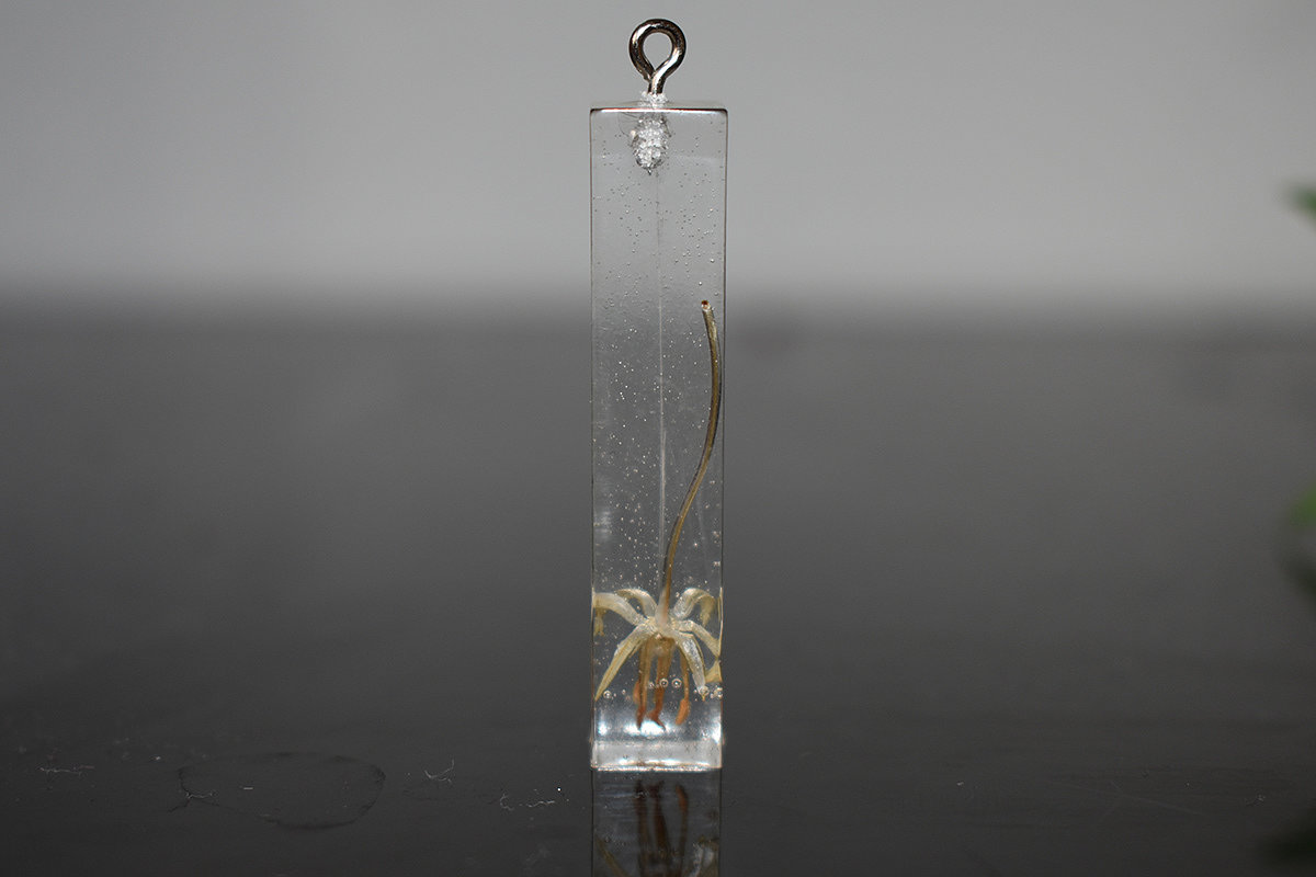 树脂，珠宝，Resin jewelry，