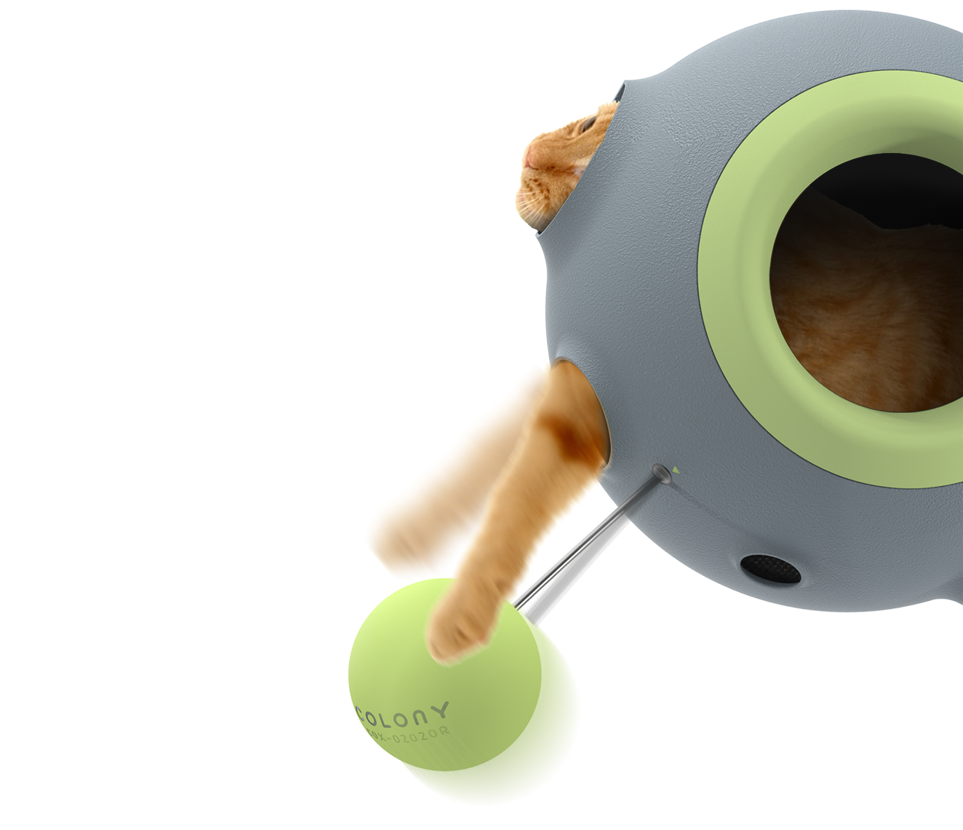 Pets，Kitty，Toys，Cat nest，interaction，