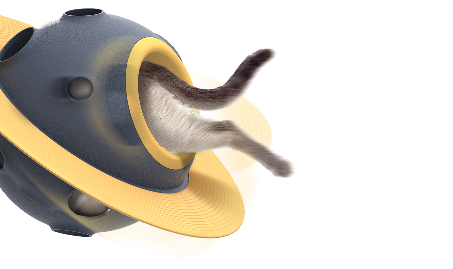 Pets，Kitty，Toys，Cat nest，interaction，