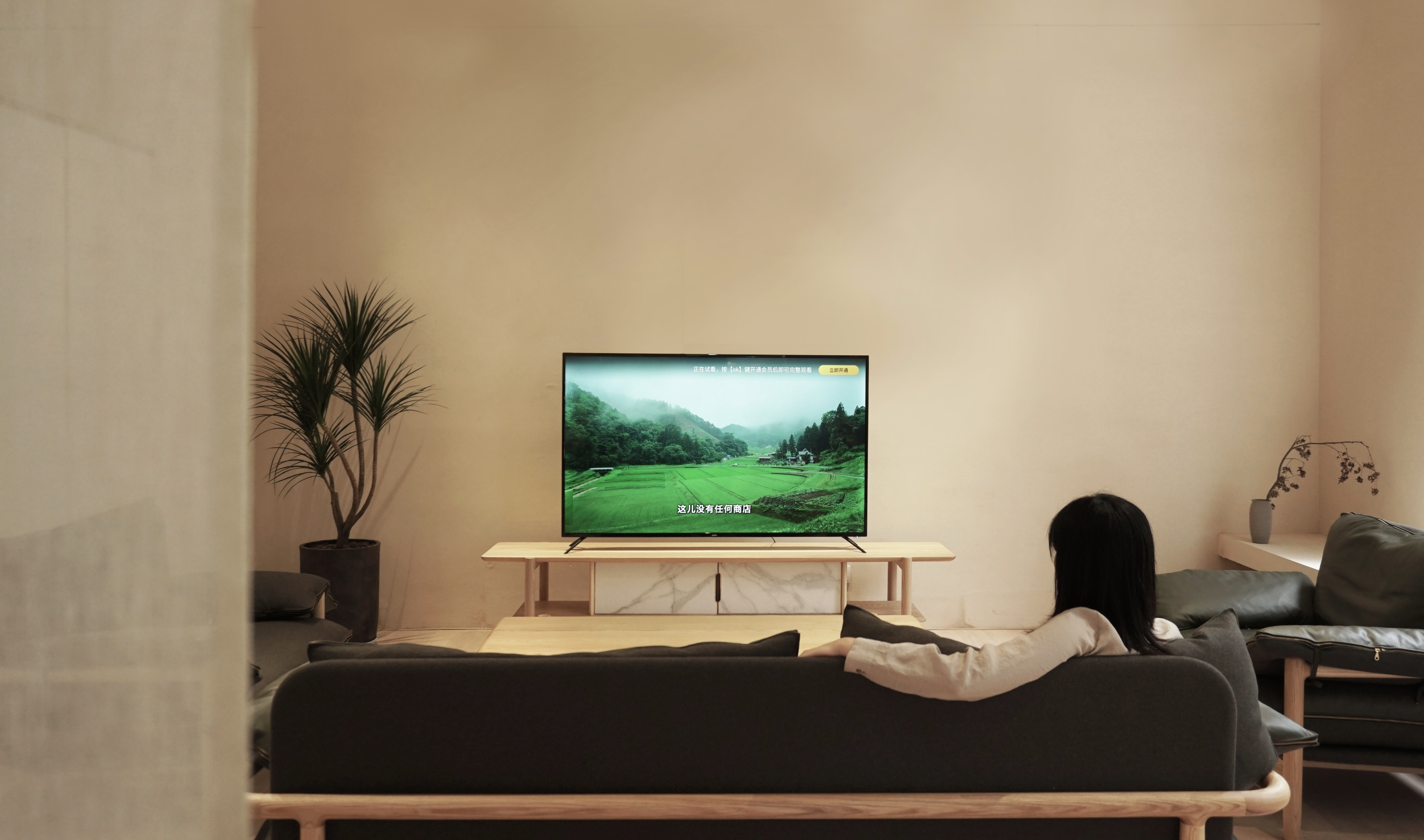 Furniture and household appliances，TV evaluation，Lelong y65，