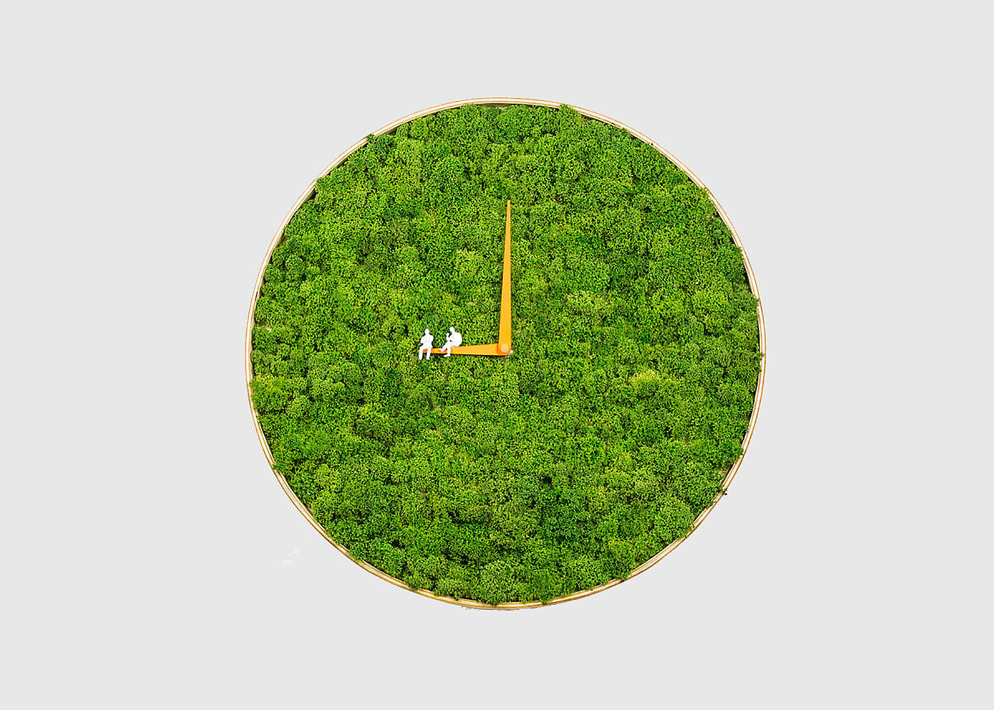 时钟，苔藓，创意，生活用品，绿色植物，