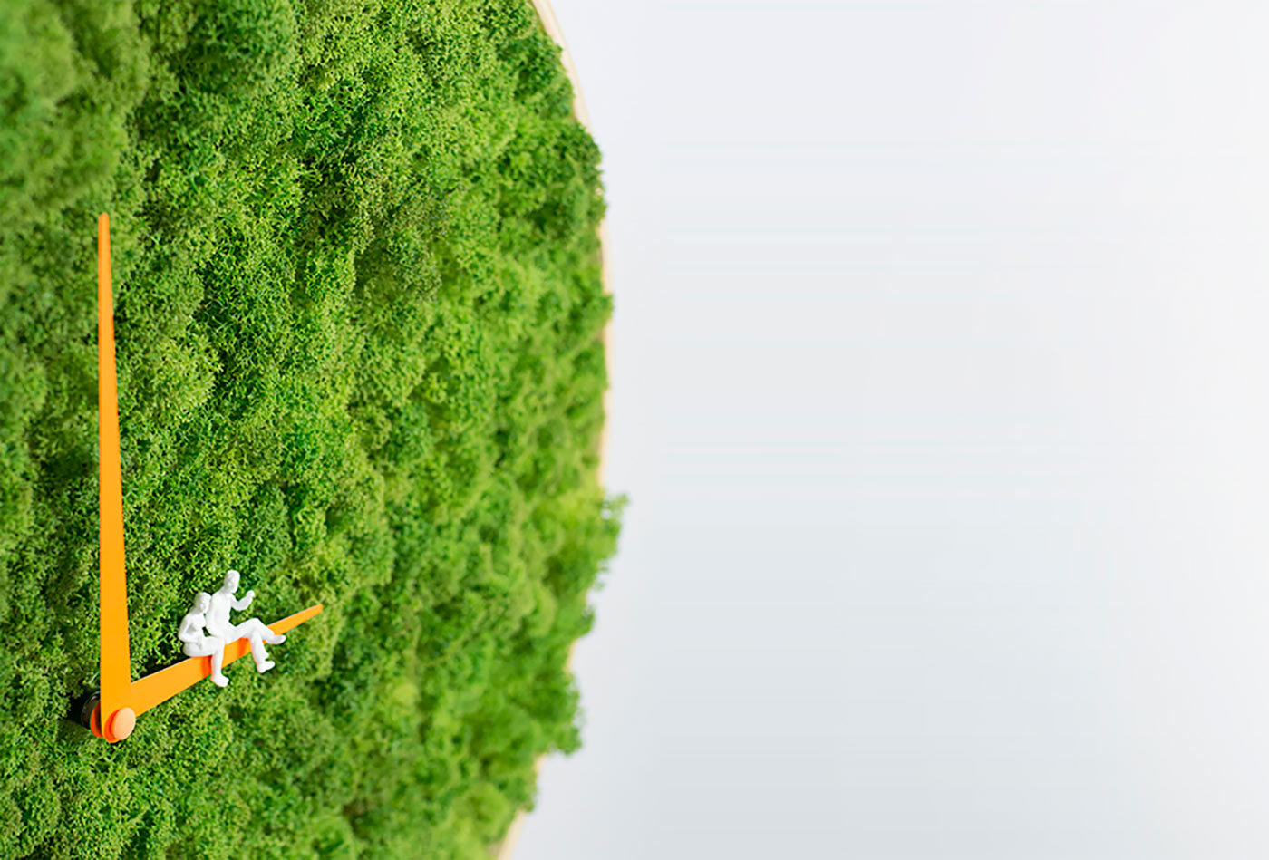 Clock，moss，originality，articles for daily use，Green plants，