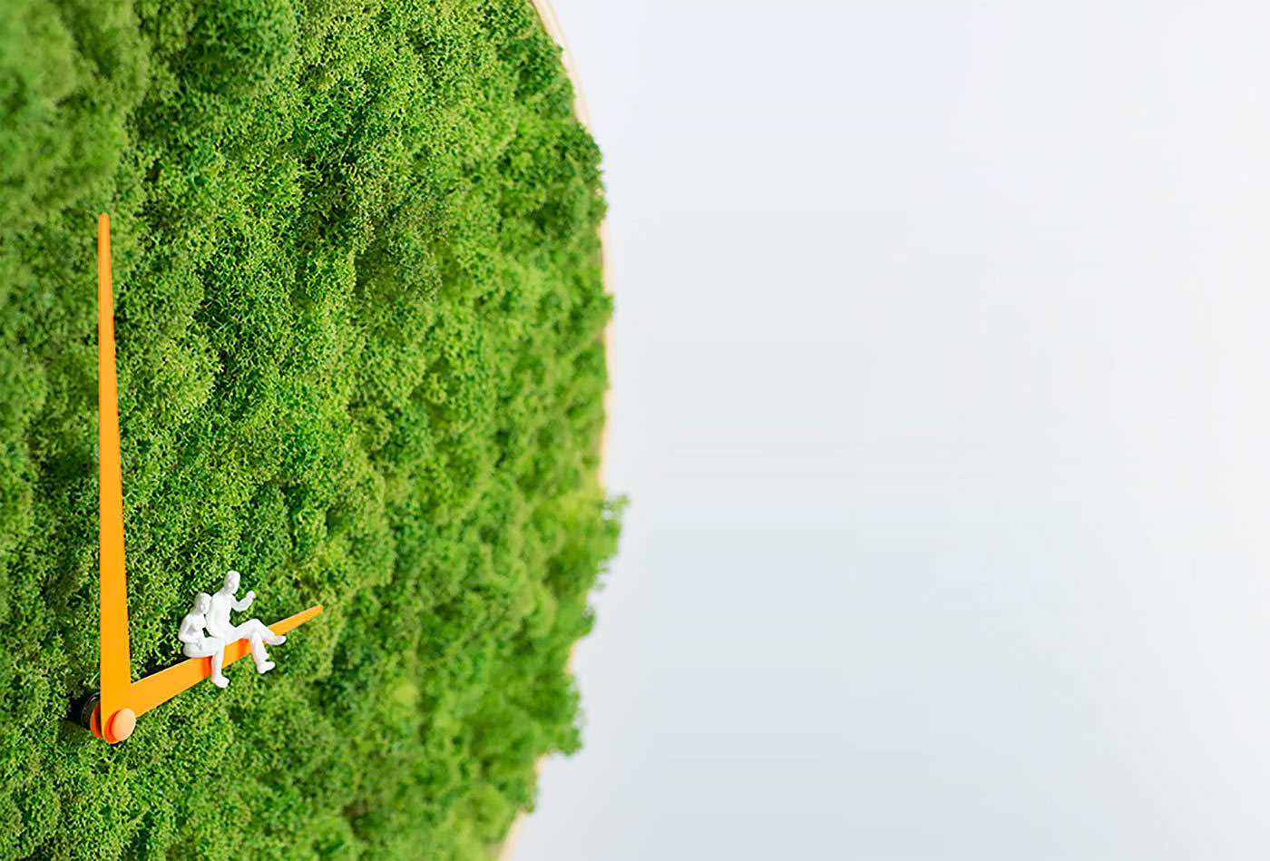 Clock，moss，originality，articles for daily use，Green plants，