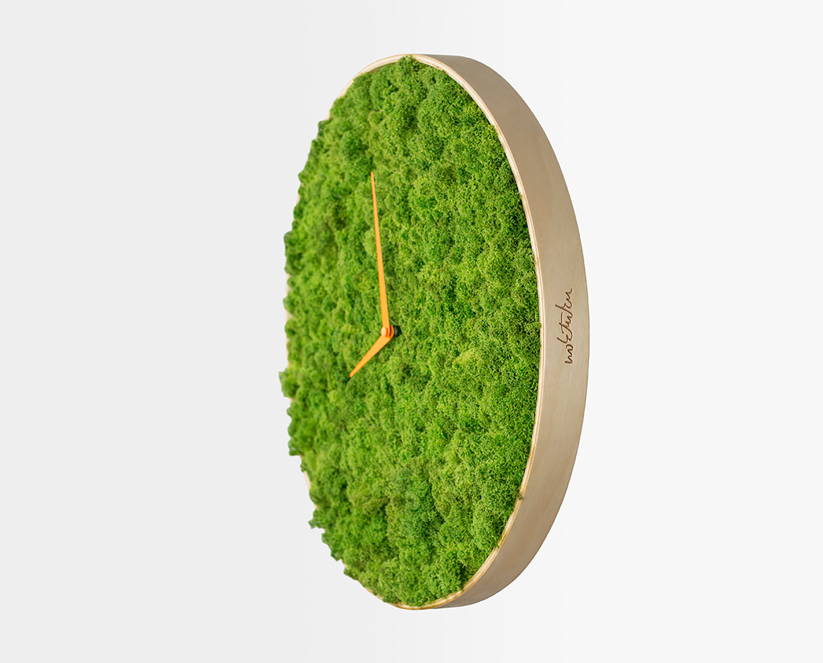 Clock，moss，originality，articles for daily use，Green plants，