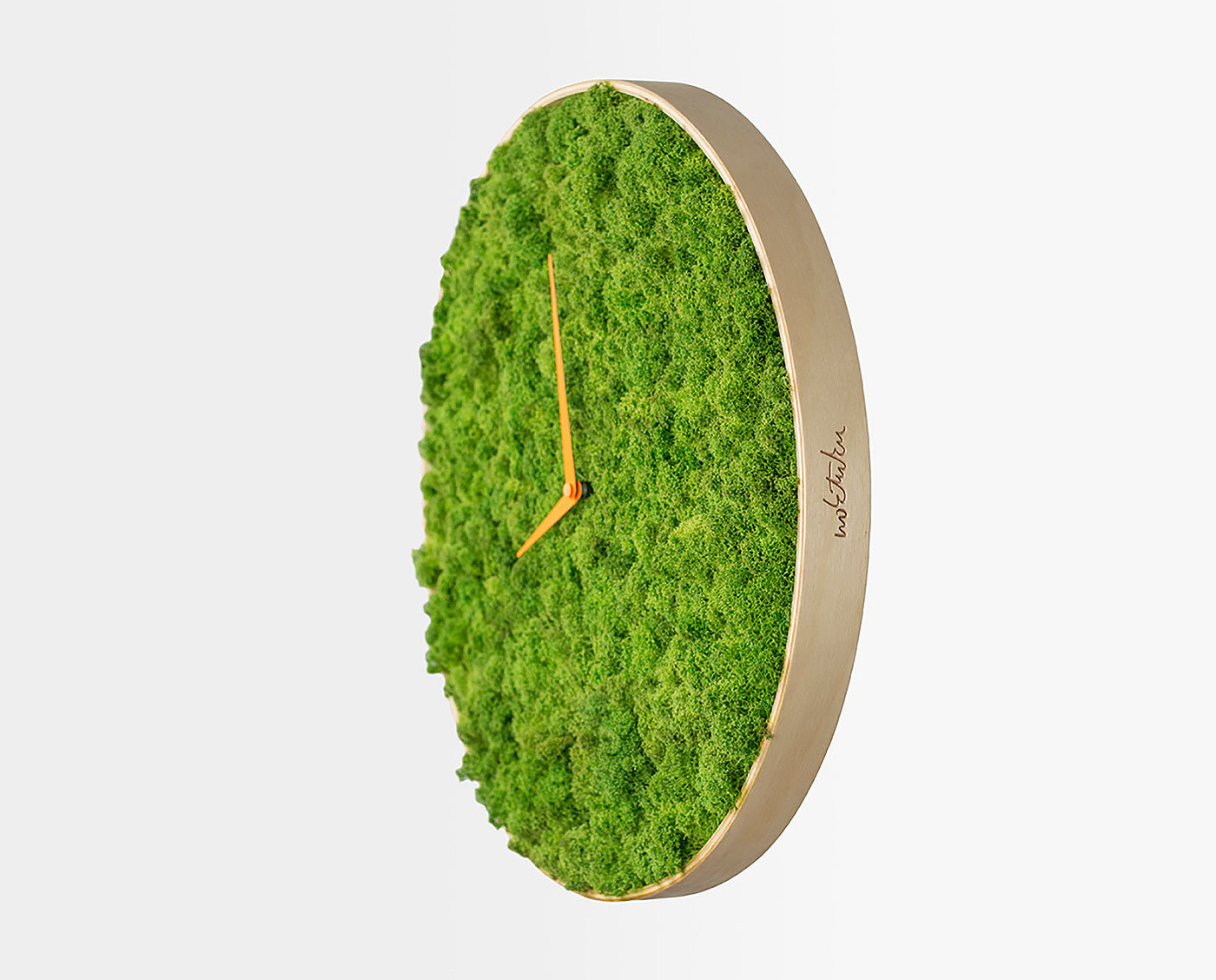 时钟，苔藓，创意，生活用品，绿色植物，