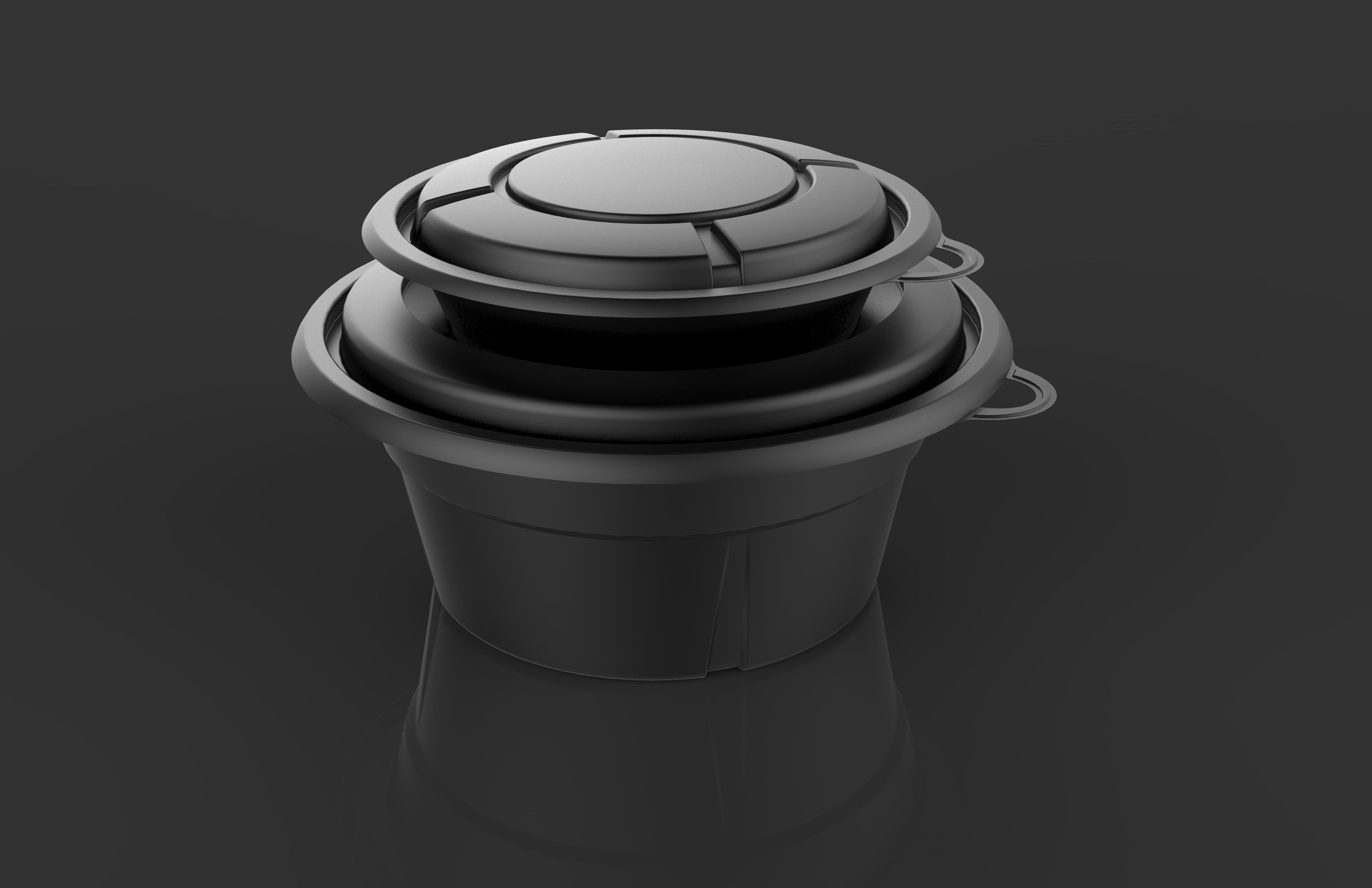 Takeout lunch box，