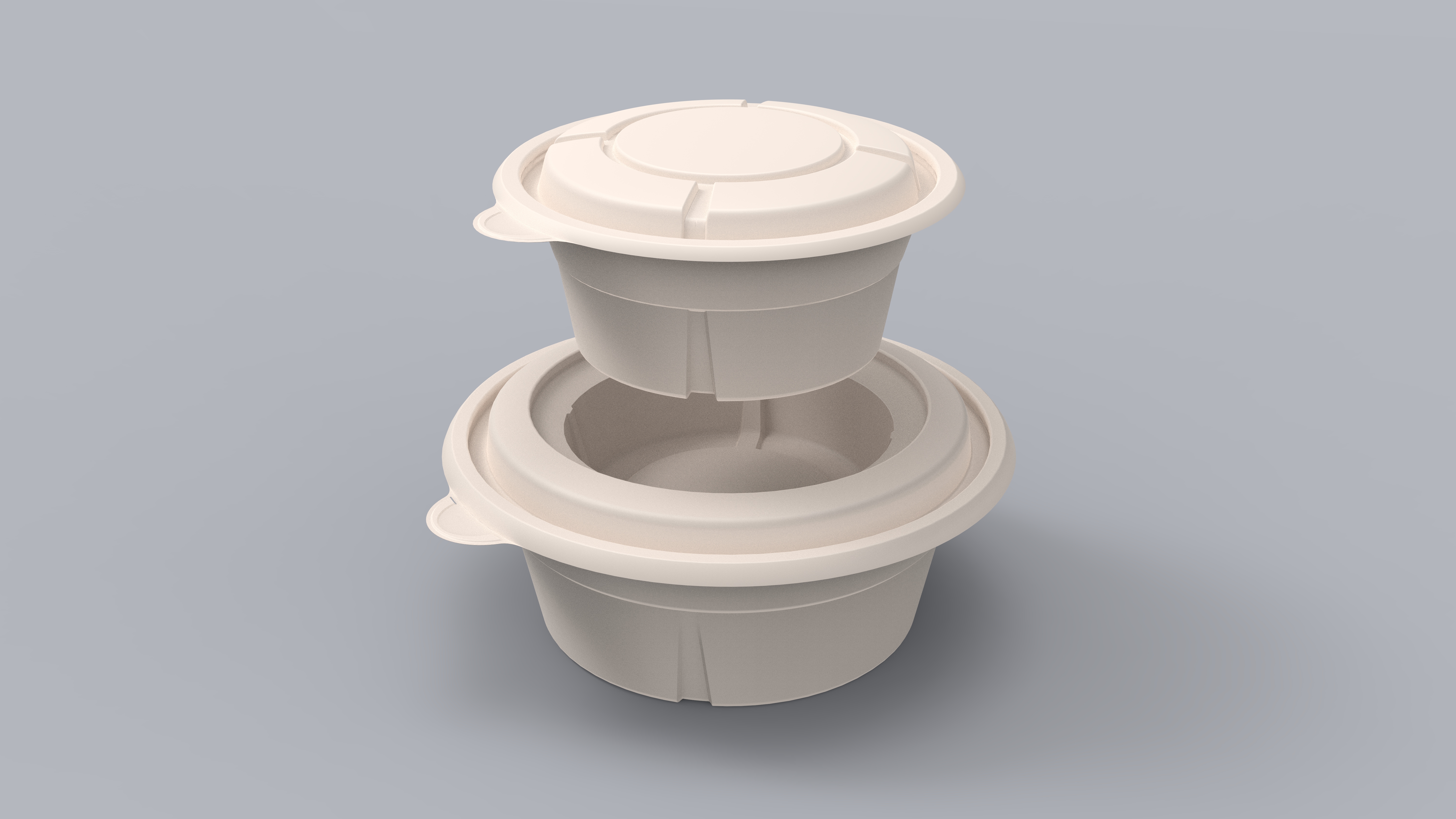 Takeout lunch box，