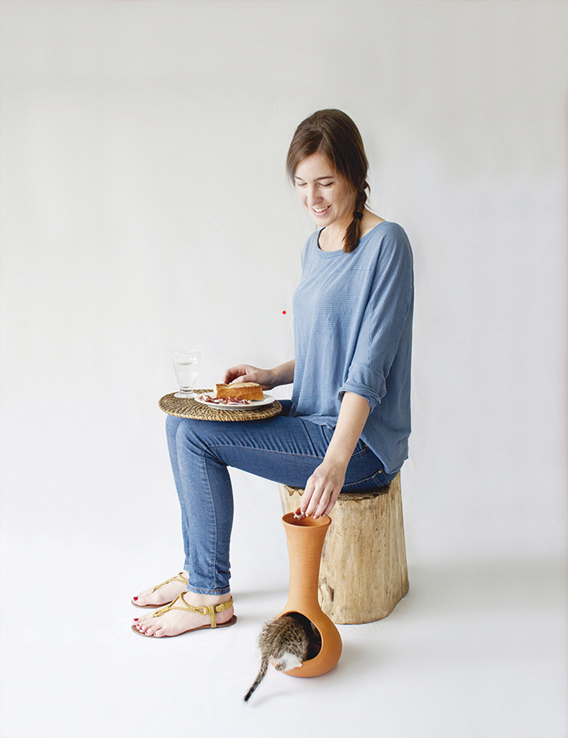 Home Furnishing，Dual purpose，Table，Kitty，Toys，