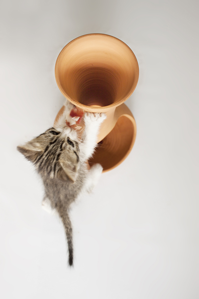 Home Furnishing，Dual purpose，Table，Kitty，Toys，