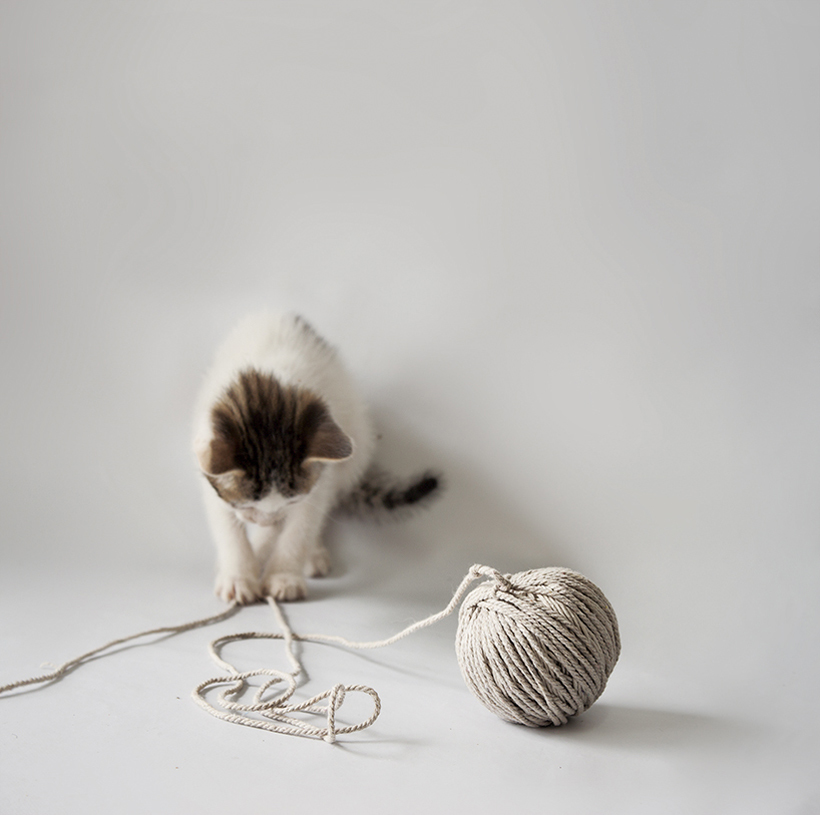 Home Furnishing，Dual purpose，Table，Kitty，Toys，