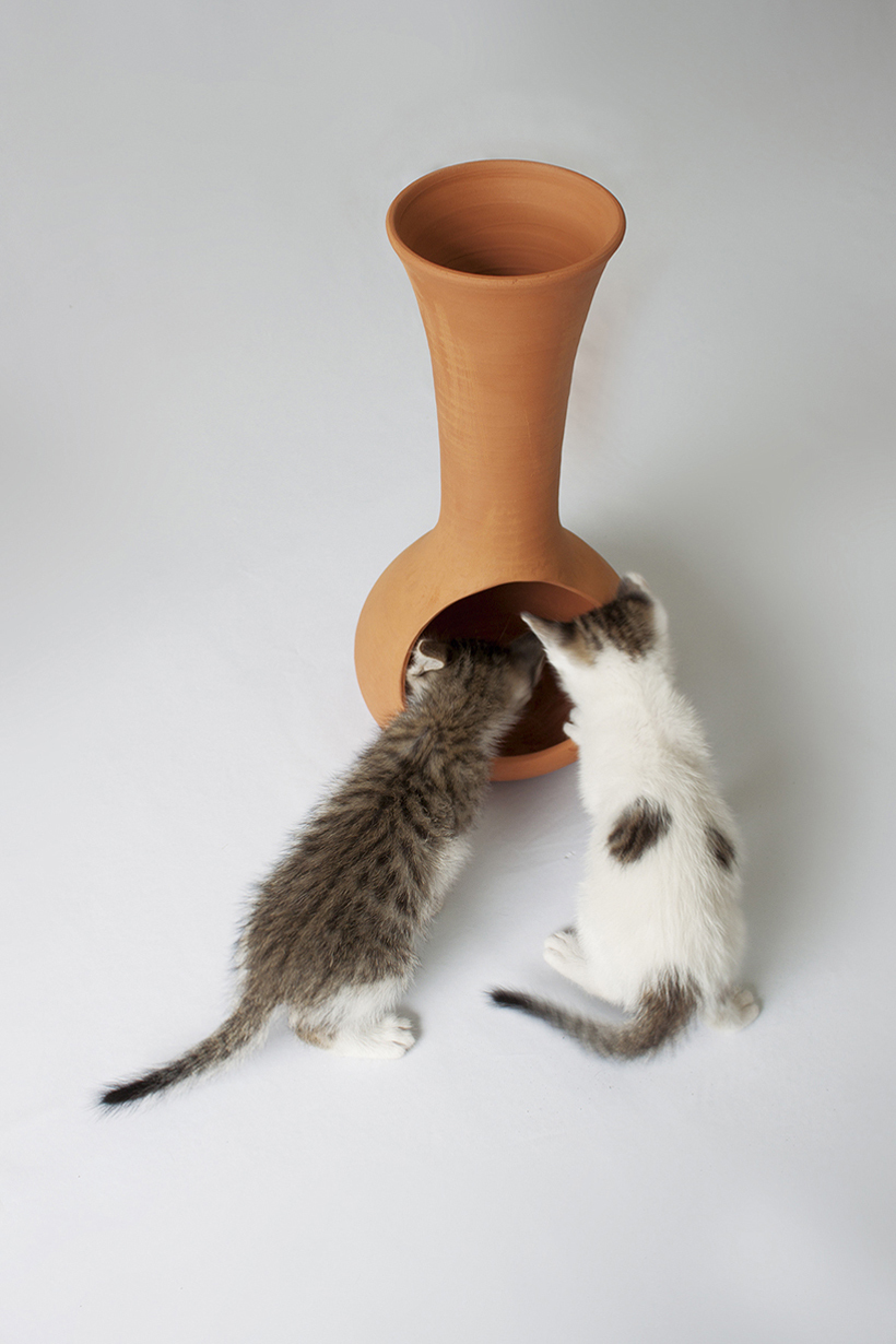 Home Furnishing，Dual purpose，Table，Kitty，Toys，