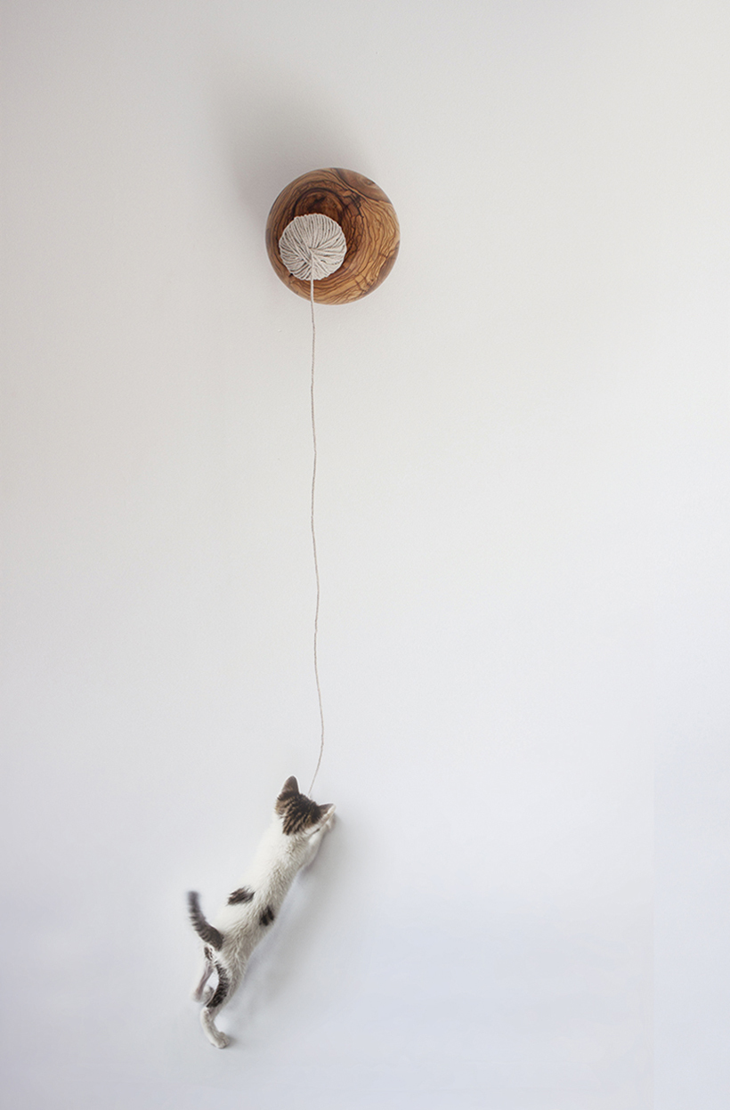 Home Furnishing，Dual purpose，Table，Kitty，Toys，