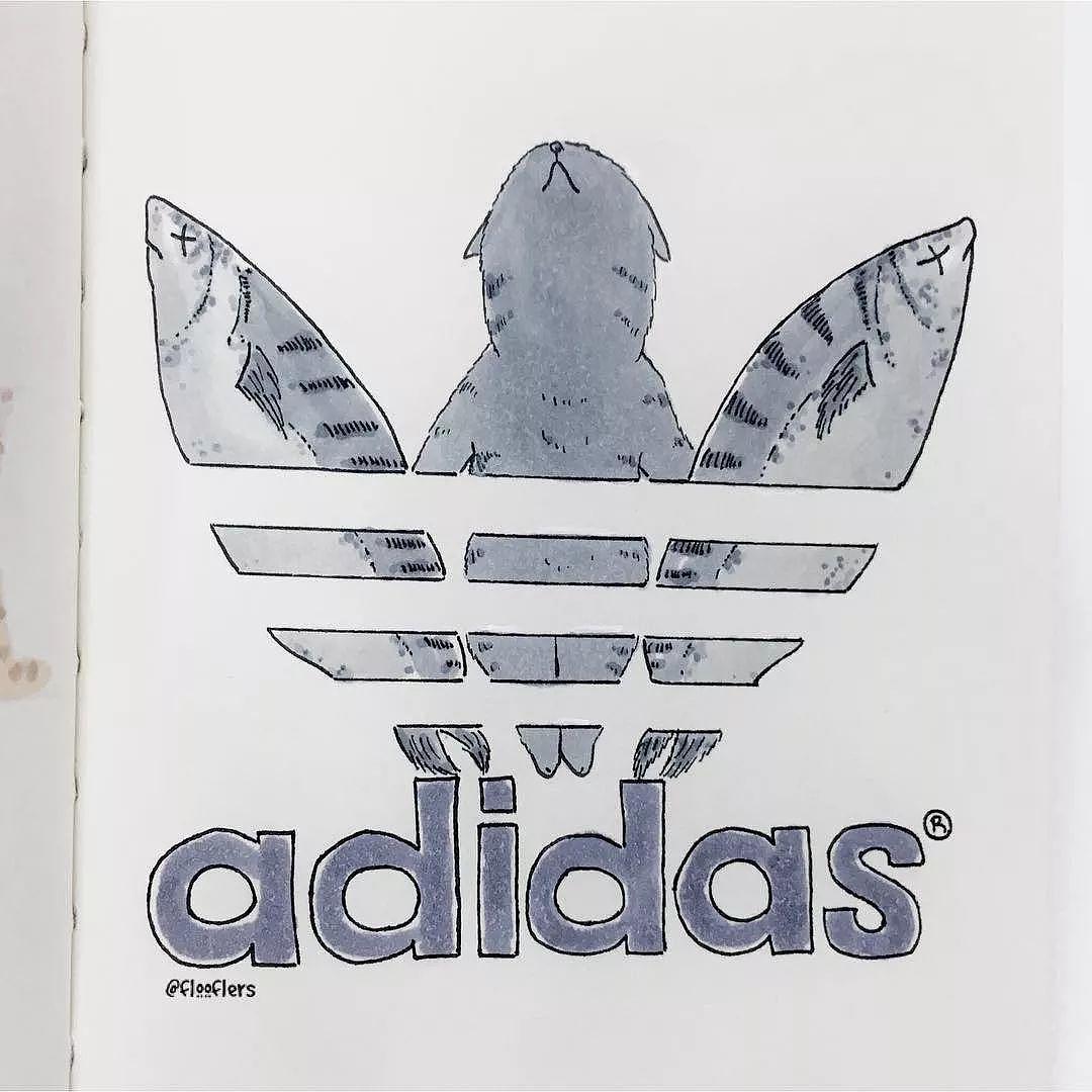 Singapore，Adidas clover，logo，flooflers，