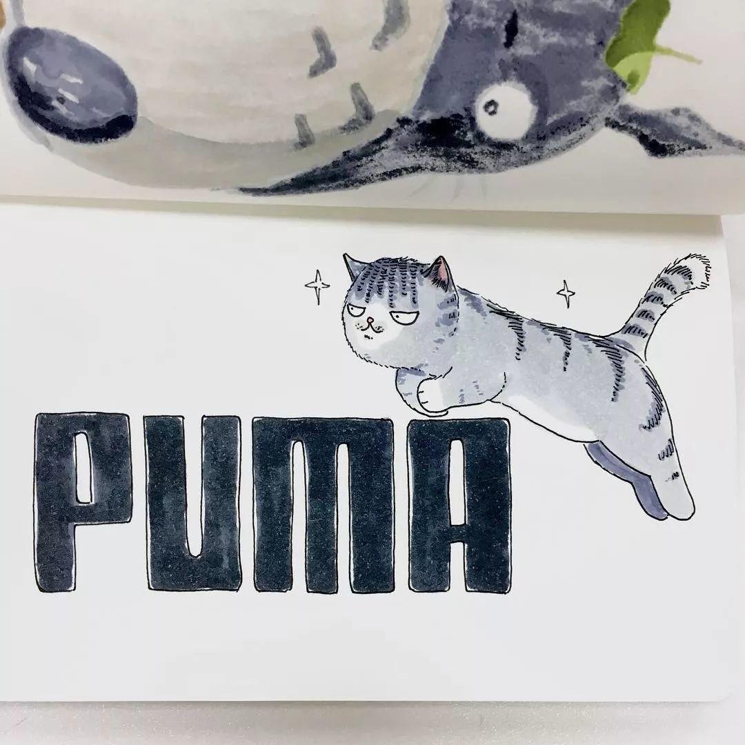 Singapore，Adidas clover，logo，flooflers，