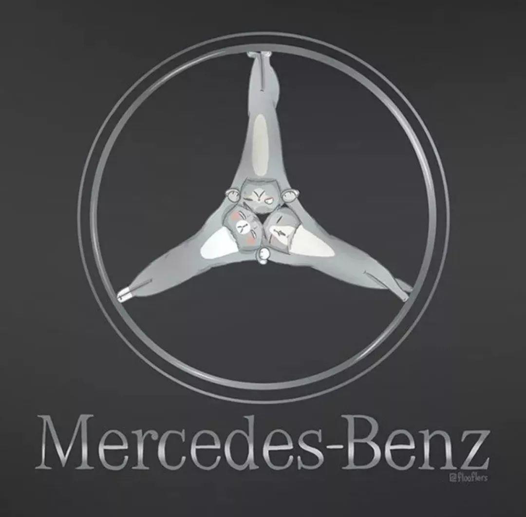 Singapore，Adidas clover，logo，flooflers，