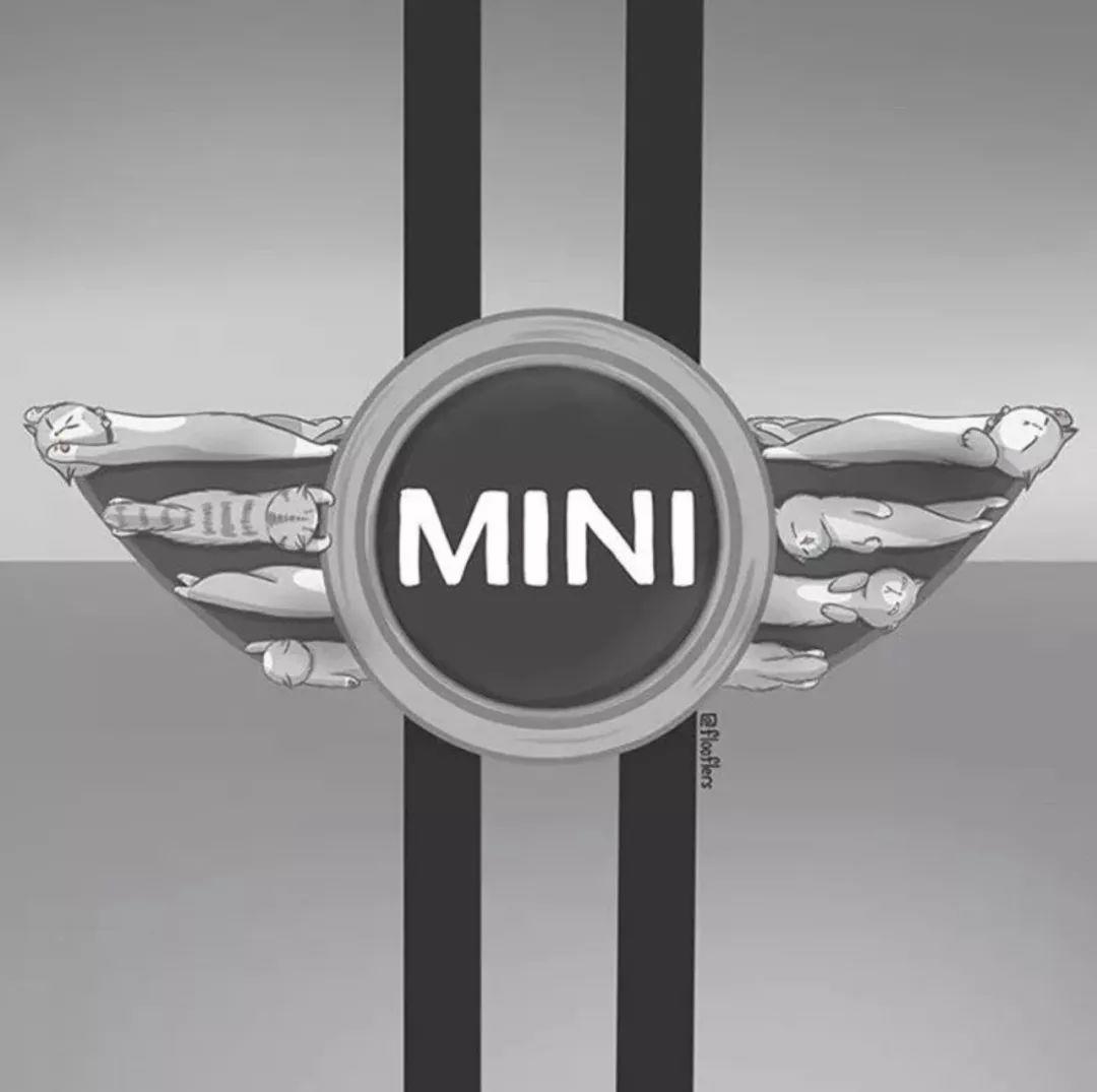 Singapore，Adidas clover，logo，flooflers，