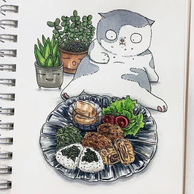 Singapore，Adidas clover，logo，flooflers，